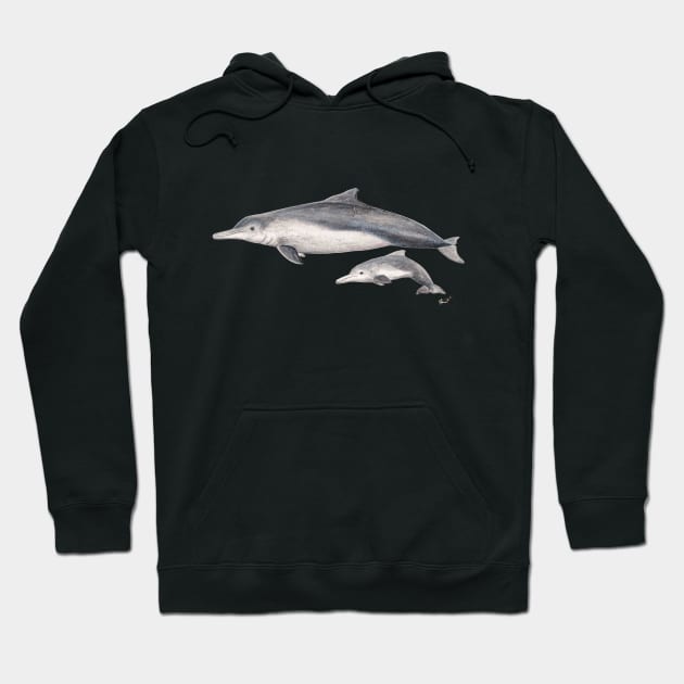 Australian humpback dolphin Hoodie by chloeyzoard